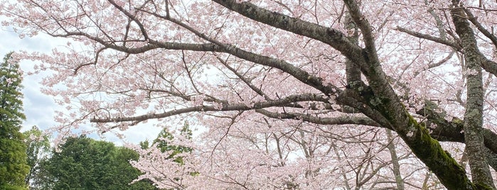 酒々井総合公園 is one of Minami'nin Beğendiği Mekanlar.