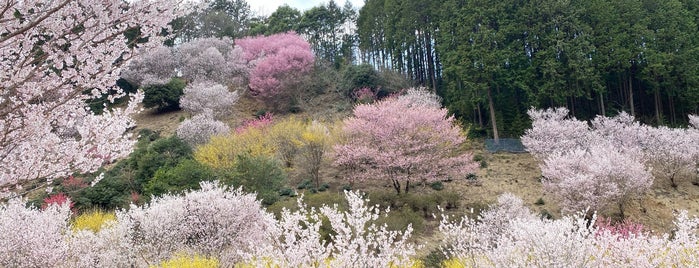 桃源郷 is one of Lugares favoritos de Minami.
