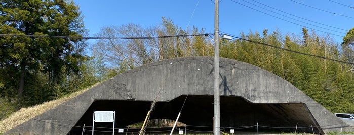 茂原海軍航空基地跡 第3掩体壕 is one of Lieux qui ont plu à Minami.