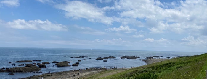 大洗海岸公園 is one of Orte, die Minami gefallen.