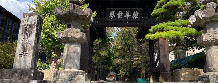 恵林寺 is one of Minami'nin Beğendiği Mekanlar.