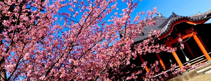 六所神社 is one of Lugares favoritos de Minami.