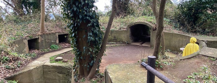 Ruins of a gun platform is one of Lieux qui ont plu à Minami.
