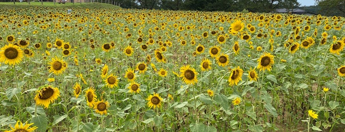 東松山農林公園 is one of Minami 님이 좋아한 장소.