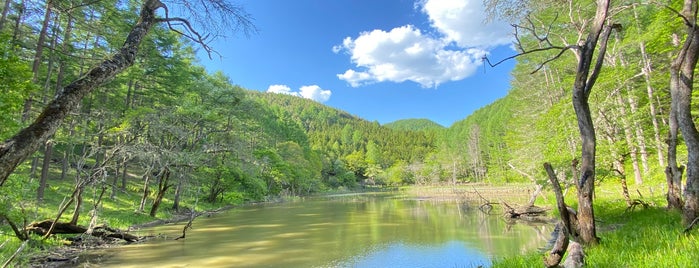 伝説の大池 is one of Lieux qui ont plu à Minami.