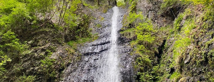 白糸の滝 is one of สถานที่ที่ Minami ถูกใจ.