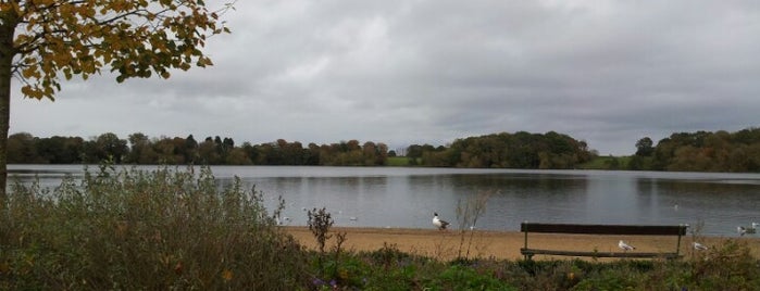 Ellesmere Mere is one of Jon : понравившиеся места.