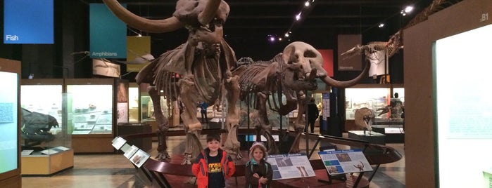 University of Michigan Museum of Natural History is one of Entertainment.