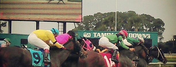 Tampa Bay Downs is one of Tampa.