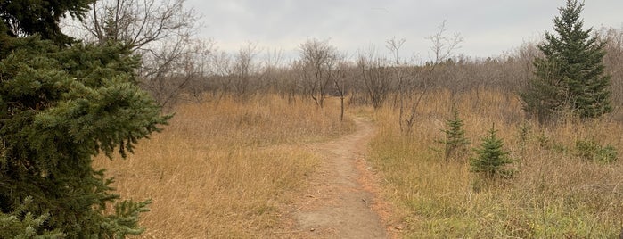 Sutherland Off Leash Park is one of Saskatoon, SK.