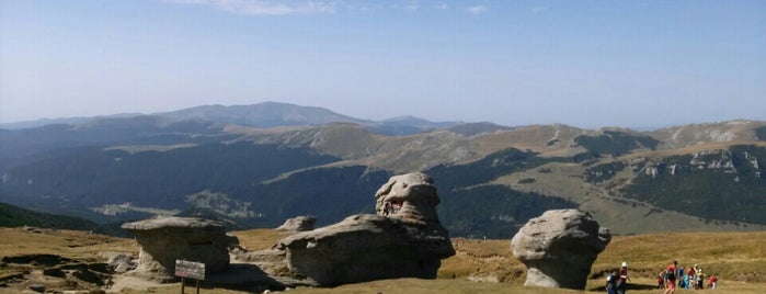 Cabana Babele is one of Lugares favoritos de Matei.