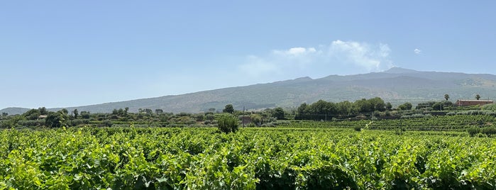 Tenuta delle Terre Nere is one of Sicily.