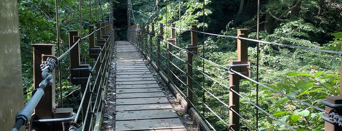 Nature Research Trail 4 is one of 東日本の山-秩父山地.