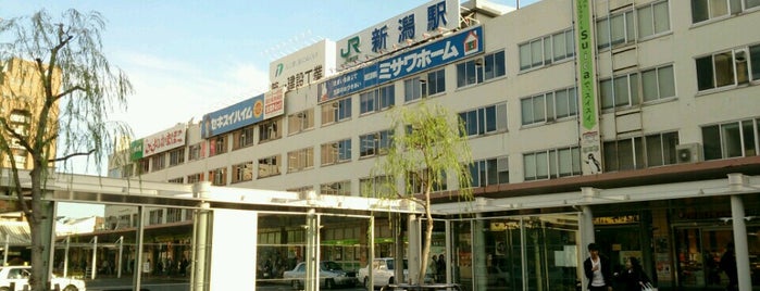 新潟県内全駅 All Stations in Niigata Pref.