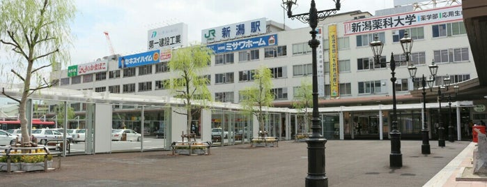 Niigata Station is one of 新幹線 Shinkansen.