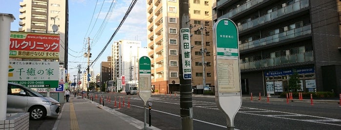 Yoneyama Bus Stop is one of 新潟交通 S60-62 長潟線（市役所前・新潟駅南口－南長潟－南部営業所）.