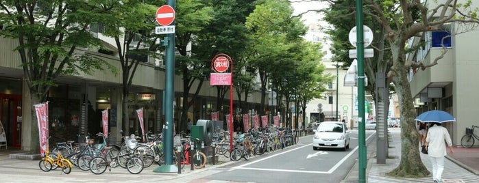 ガルベストン通り is one of NGT48.