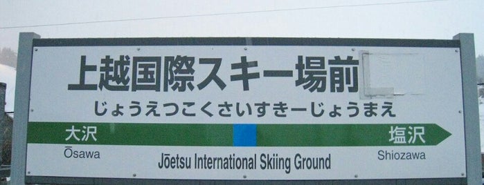 Jōetsu International Skiing Ground Station is one of 新潟県内全駅 All Stations in Niigata Pref..