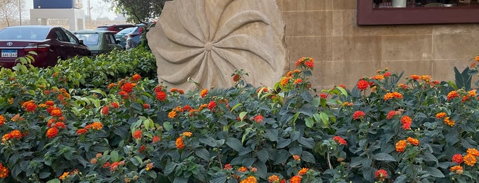 Maadi is one of Daily locations.