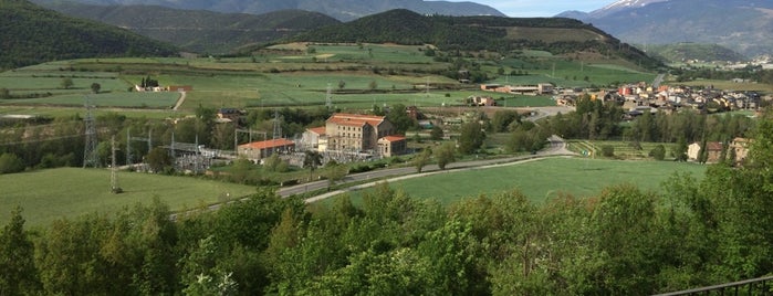 Perdiu d'argent is one of Pirineos.