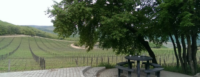 UPPA Winery is one of Lieux qui ont plu à Marina.