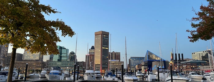 Inner Harbor Marina is one of Andy's Guide to Baltimore.