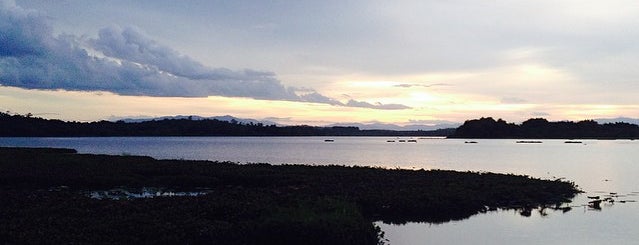 Chiang Saen is one of Alanさんのお気に入りスポット.