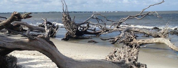 Driftwood Beach is one of I've been there!.