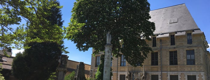 Muséum d'histoire naturelle de Rouen is one of Sites et Musées de Seine-Maritime.