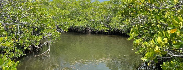 John Pennekamp Coral Reef State Park is one of Key Largo.
