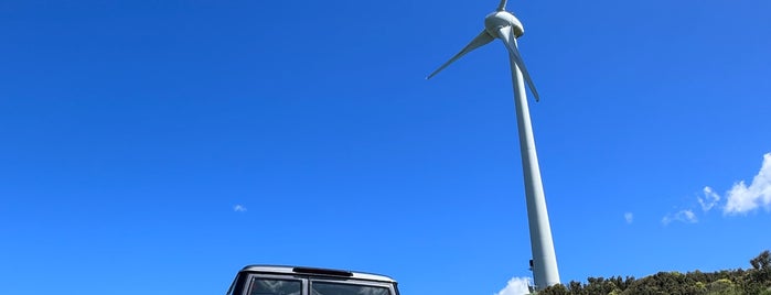 Wellington Wind Turbine is one of things to do.