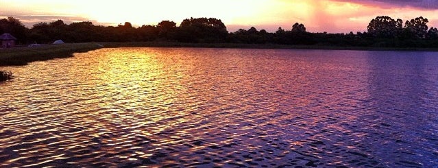 Lago Dourado is one of Tempat yang Disukai Andrew.