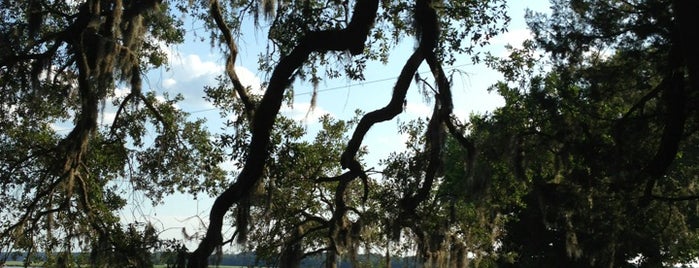 Oyster Factory Park is one of Locais curtidos por Jordan.