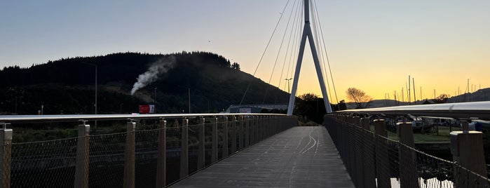 Forsyth Barr Stadium is one of Great Family Holiday Attractions Around NZ.