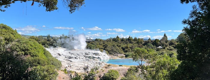 Pohutu Geyser is one of Taupo.