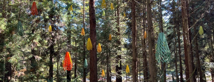 Redwoods Treewalk is one of Destinations.