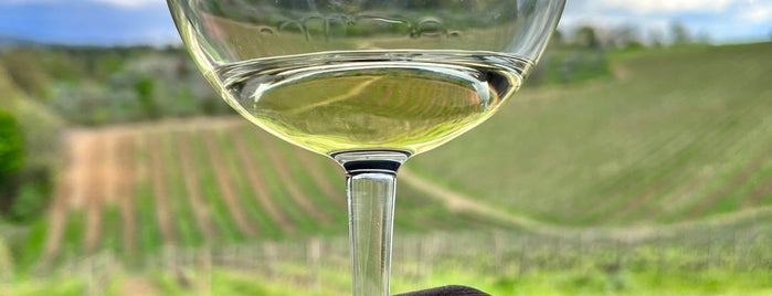 Fattoria La Loggia is one of Chianti Classico Tasting at Winery.