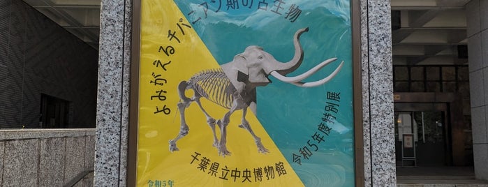 Natural History Museum and Institute, Chiba is one of 博物館(関東).