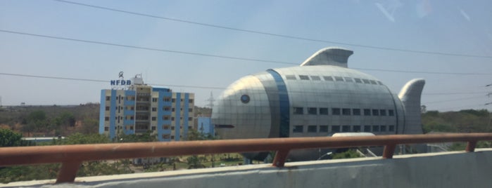 Fish Building is one of India.