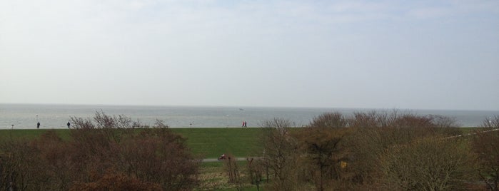 Markus S Liked Places