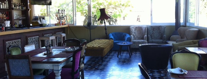 Buena Vista Social Cafe is one of Neeeed foooood.