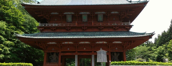 Daimon (Great Gate) is one of 高野山山上伽藍.