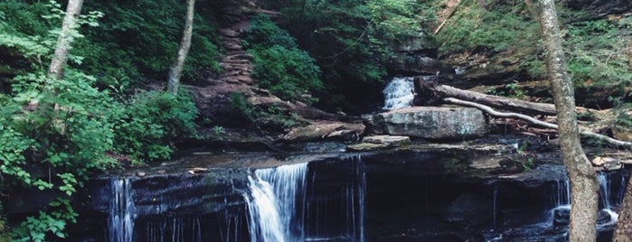 Ricketts Glen State Park is one of Poconos.