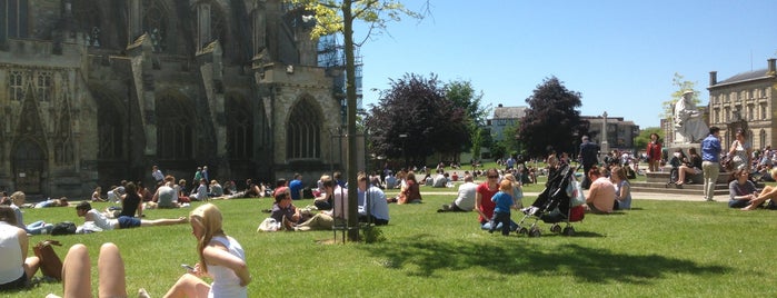 Cathedral Green is one of Exeter.