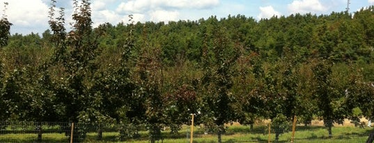 Skytop Apple Orchard is one of Locais salvos de Alex.