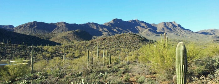 Interstate 10 at Exit 279 is one of Tucson.