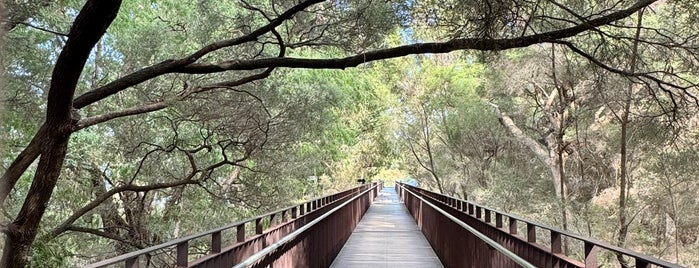 Lotterywest Federation Walkway is one of Perth.