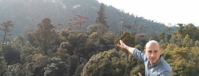 Miyajima