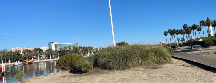 Shoreline Park is one of Jorgeさんのお気に入りスポット.