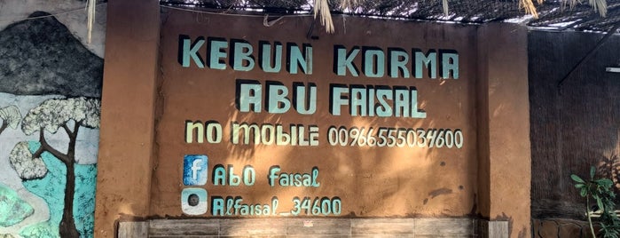 Kebun Korma Abu Faisal is one of Umroh 2018.